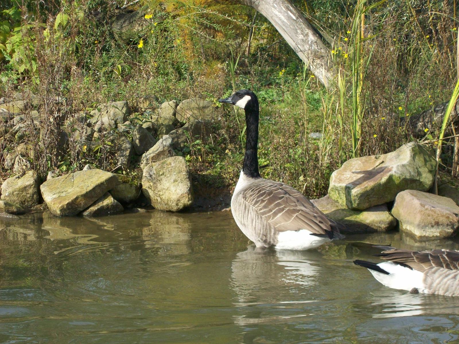Zoom 18.10.2008-146.jpg